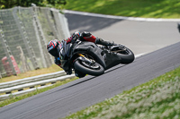 Advanced Group Black Bikes